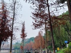 -重庆彩云湖湿地公园
