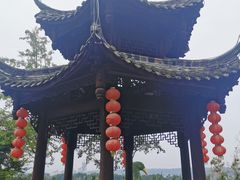 -都江堰玫瑰花溪谷