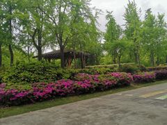 -黄兴公园
