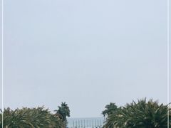 -三亚海棠湾万丽度假酒店