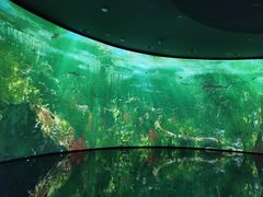 -中国湿地博物馆