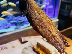 -黄鱼炙夜·烧烤·小龙虾(世茂缤谷店)