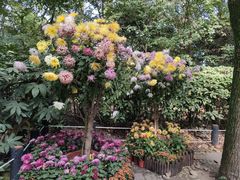 -共青国家森林公园-售票处