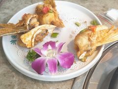 -淘米捞·米汤脆鲩鱼火锅(福田皇岗店)
