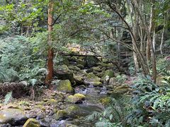 -福清灵石山国家森林公园