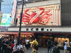 -蟹道乐(道顿堀本店)