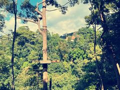 -清迈丛林飞跃 JungleFlight