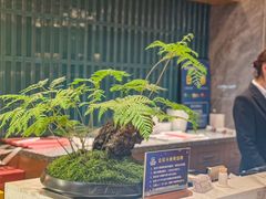-双湖园·地标武汉菜(黄鹤楼解放路店)