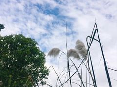 -贵阳市花溪国家城市湿地公园