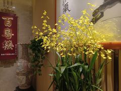 -广州中心皇冠假日酒店·百粤楼