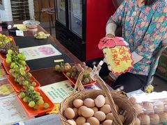 -马陆小张葡萄园农家乐