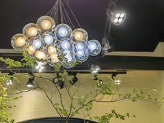 -溪岸路花鸟市场