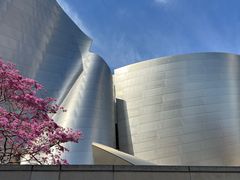 -华特·迪士尼音乐厅