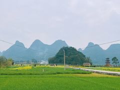 -会仙湿地