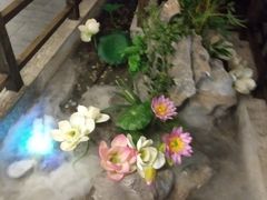 -秀水人家