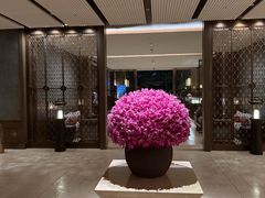 -丽晶轩中餐厅(重庆丽晶酒店)