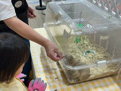 -深圳龙华星河COCO City(民治店)