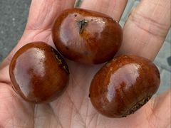 -王老头炒货(天坛东路店)