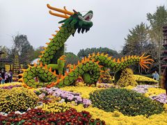 -南山植物园