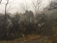 -千岛湖石林