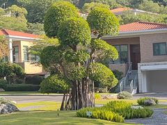 -厦门国家会计学院