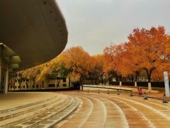 -北京国家会计学院