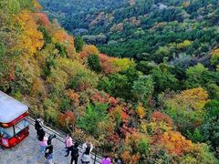 -香山公园
