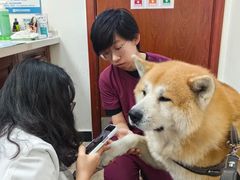 -美联众合动物医院·24h转诊中心