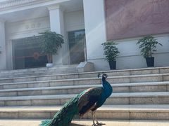 -西昌邛海宾馆