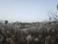 -绿堤公园