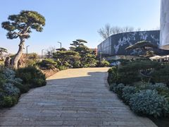 -罗红摄影艺术馆