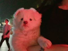 -覃记螺蛳粉·桂林米粉(鼓楼南街店)