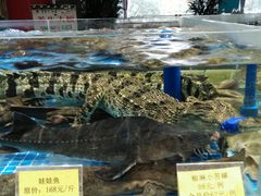 -皇宫大酒店
