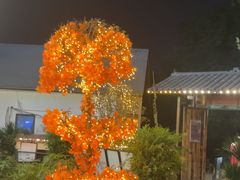 -后湖小院·乡野田园菜