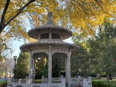 -玲珑塔公园