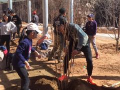 -十渡东湖港风景区