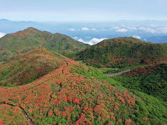 -大围山国家森林公园