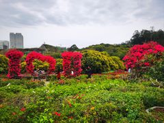 -东莞植物园