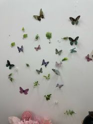 -大连棒棒糖儿童摄影(熊洞街店)