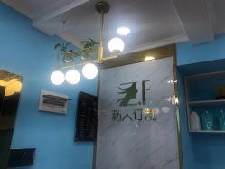 -Z.F私人订制