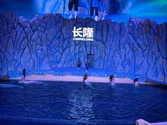 -珠海长隆海洋王国