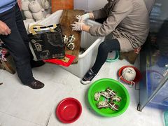 -阳澄湖大闸蟹·琼灵阁牌品牌连锁(吴中总店)