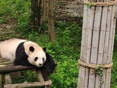 -安吉竹博园