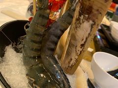 花竹虾-鲜入围煮花胶鸡海鲜火锅