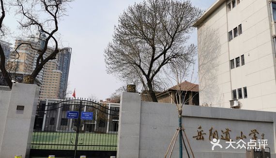 岳阳道小学有两个校址,分别位于天津市和平区大理道109号,天津市和平