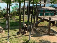 -西霞口神雕山野生动物世界