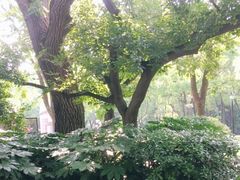 -上海市龙华烈士陵园