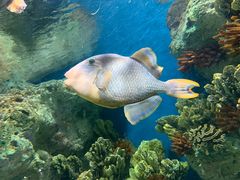 -福州罗源湾海洋世界旅游区