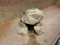 -盘龙城遗址博物院