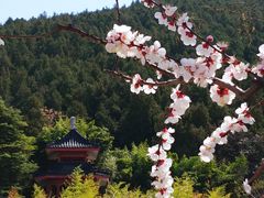 -云龙湖旅游景区